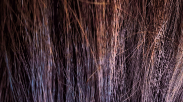 Pelo y uñas